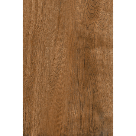 related-maryland-brown-80x120cm-matt